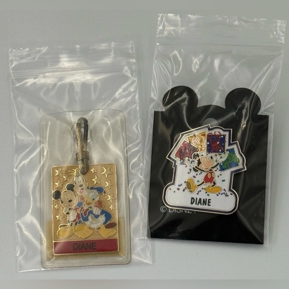 Walt Disney World Name Pin & Zipper Pull Diane Lot Of 2 - Picture 7 of 7